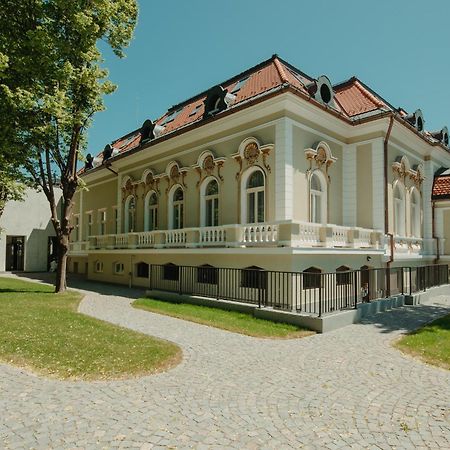 Boutique Hotel Cocosul De Aur Târgu-Mureş 外观 照片